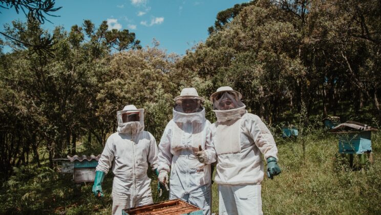 Man vs. Bee; Hal Kecil yang Berdampak Besar